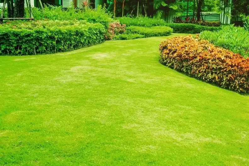 Professional Landscape Services