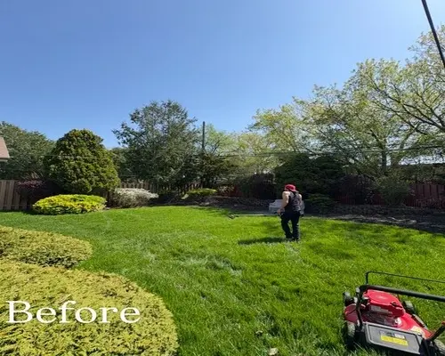 Professional landscape designer