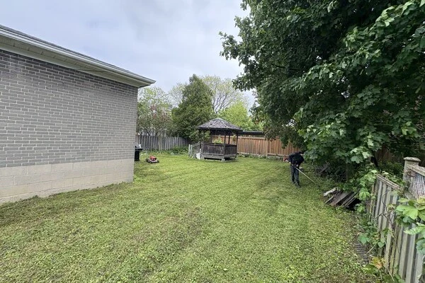 Professional Landscape Services