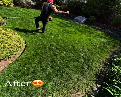 Reliable landscape designer