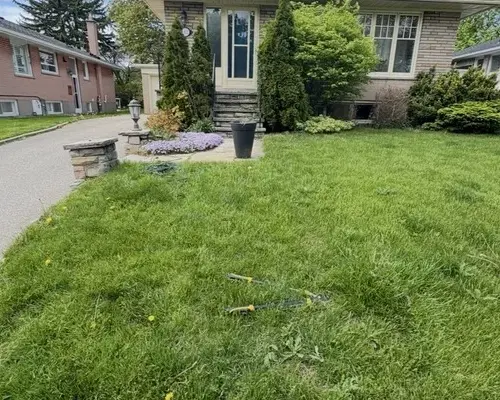 Trusted landscaping company